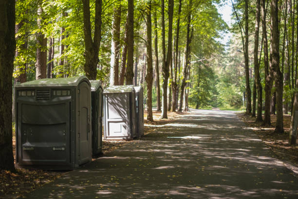 Best Porta potty delivery and setup  in Chenoa, IL